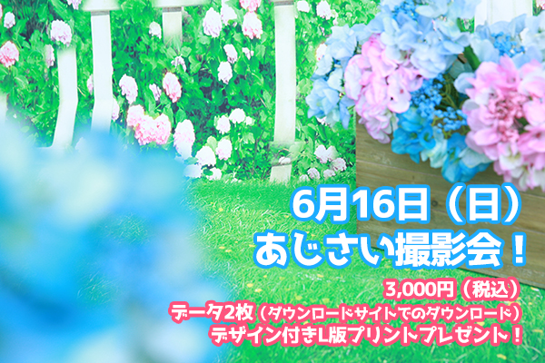 【6月16日】あじさい撮影会・ご予約受付中！【コンセプトフォト】
