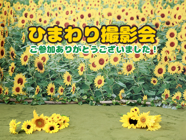 【8月11日】ひまわり撮影会【ご参加ありがとうございます！】